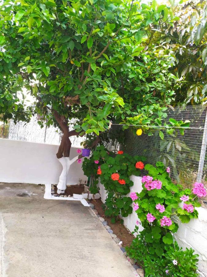 Meimetis Green House Neápolis Εξωτερικό φωτογραφία